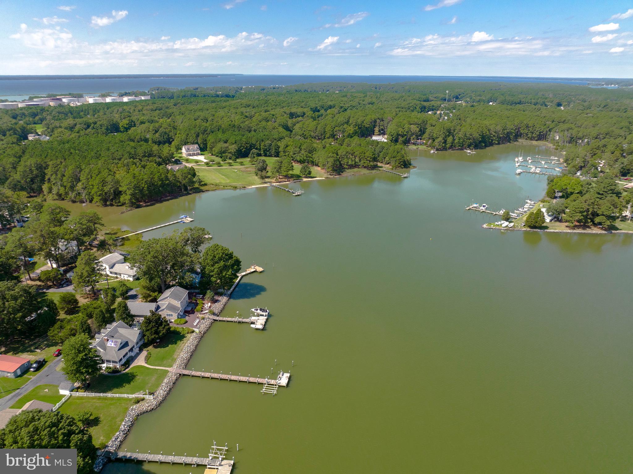 17559 River Drive Piney Point, MD 20690 - Photo 10 of 81