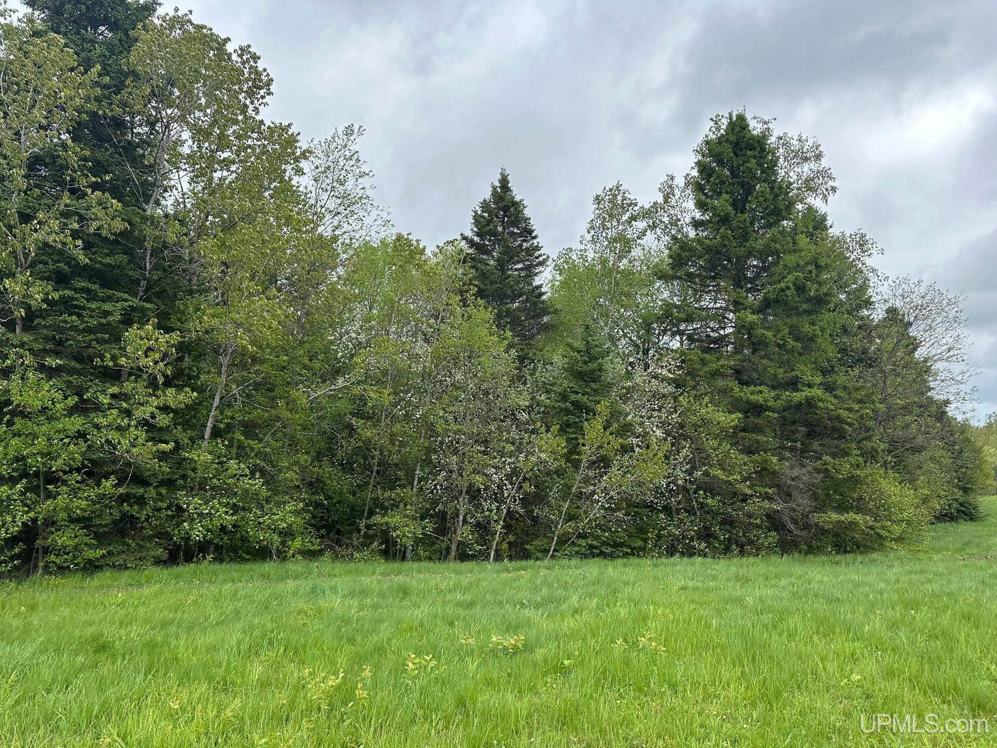 1390 North Co Road Skandia, MI 49885 - Photo 11 of 22