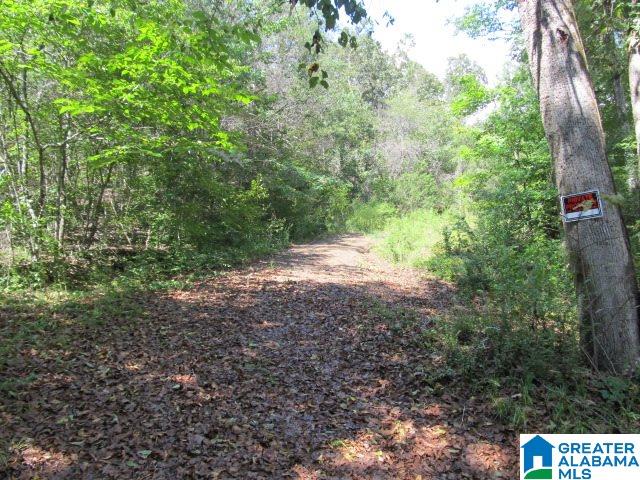 79 Highway 79, Unit 33 Cleveland, AL 35049 - Photo 18 of 32