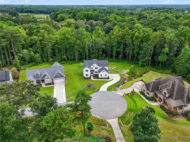 an aerial view of a house with garden space and street view
