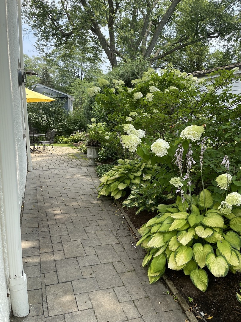 221 Church Road Winnetka, IL 60093 - Photo 38 of 42 a view of a yard with plants