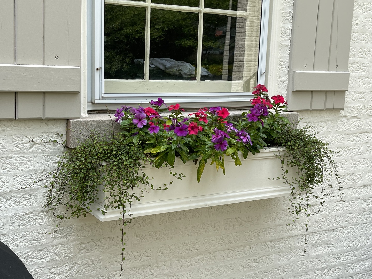 221 Church Road Winnetka, IL 60093 - Photo 5 of 42 a flower garden in front of a window