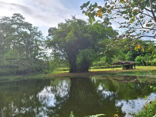 a view of lake with green space