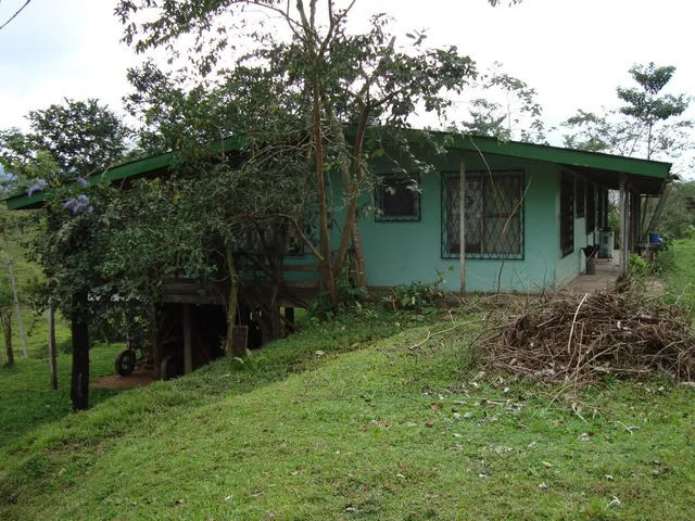 a view of backyard with green space