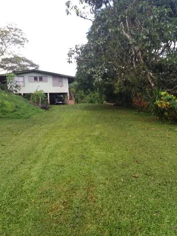 a view of a house with a garden