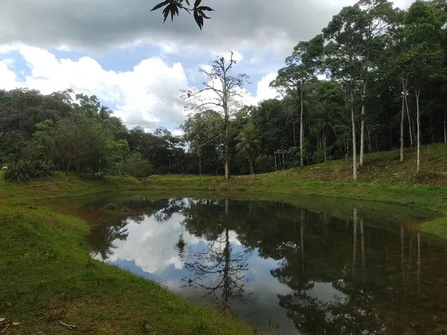 a lake view with a garden