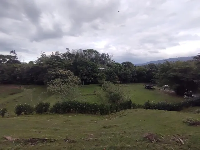 a view of a lake with a big yard
