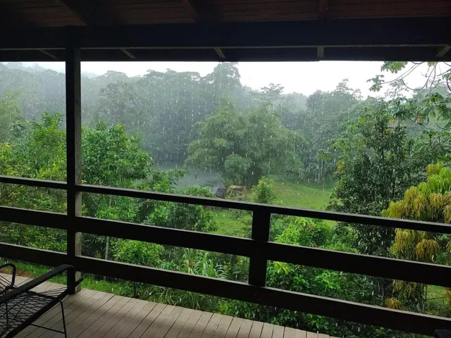 a view of green landscape from balcony