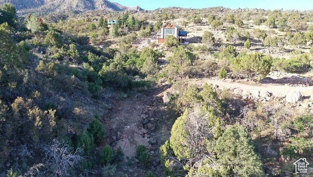 515 South Oakridge Road Pine Valley, UT 84781 - Photo 19 of 23 Aerial view of property's location featuring a forest