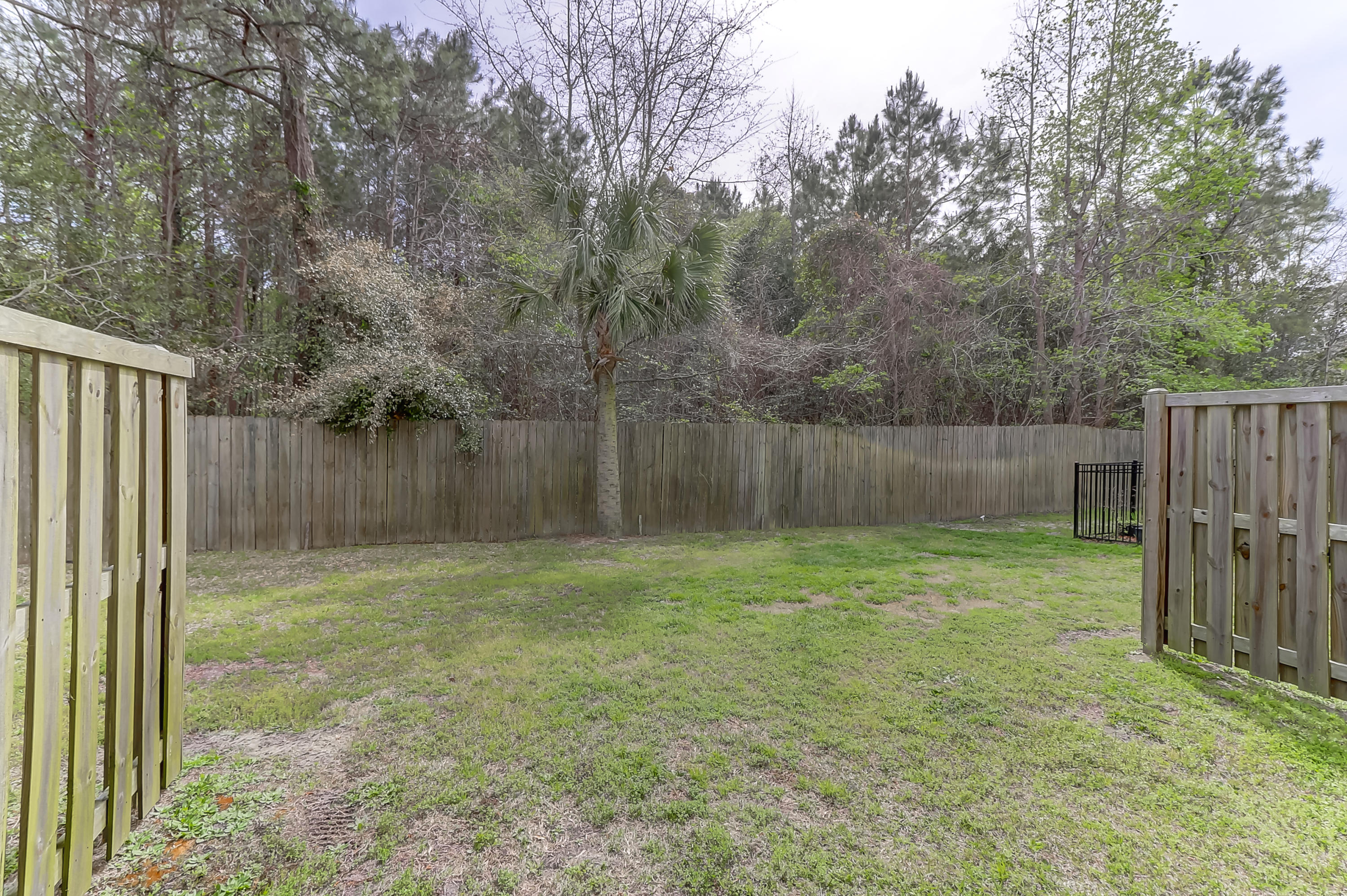 1203 Dingle Road Mount Pleasant, SC 29466 - Photo 22 of 25 back courtyard