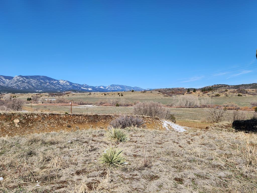 Tbd Greenhorn Road Rye, CO 81069 - Photo 9 of 13