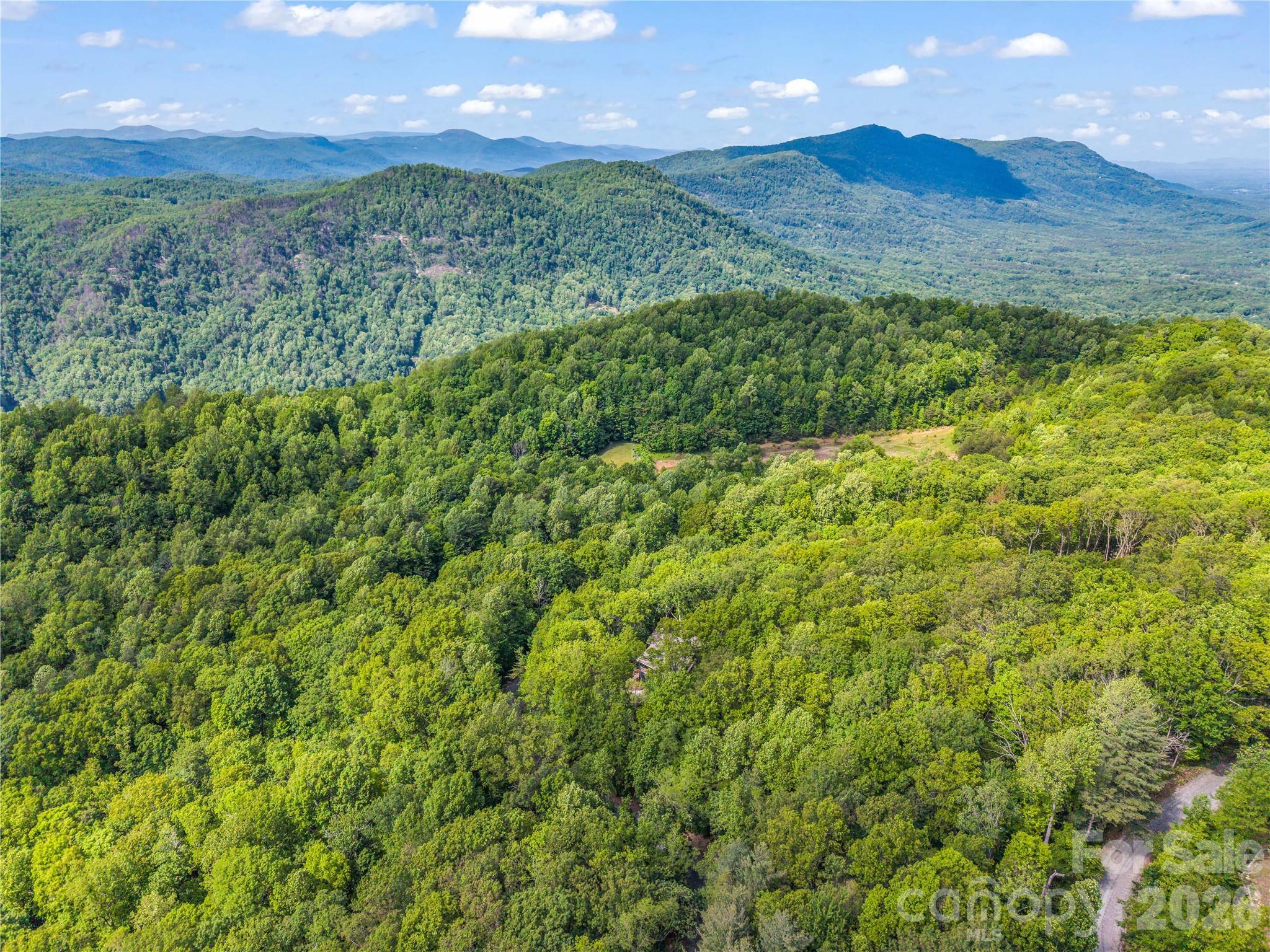 737 Melrose Mountain Road Tryon, NC 28782 - Photo 9 of 42 a view of a lush green forest with lots of trees
