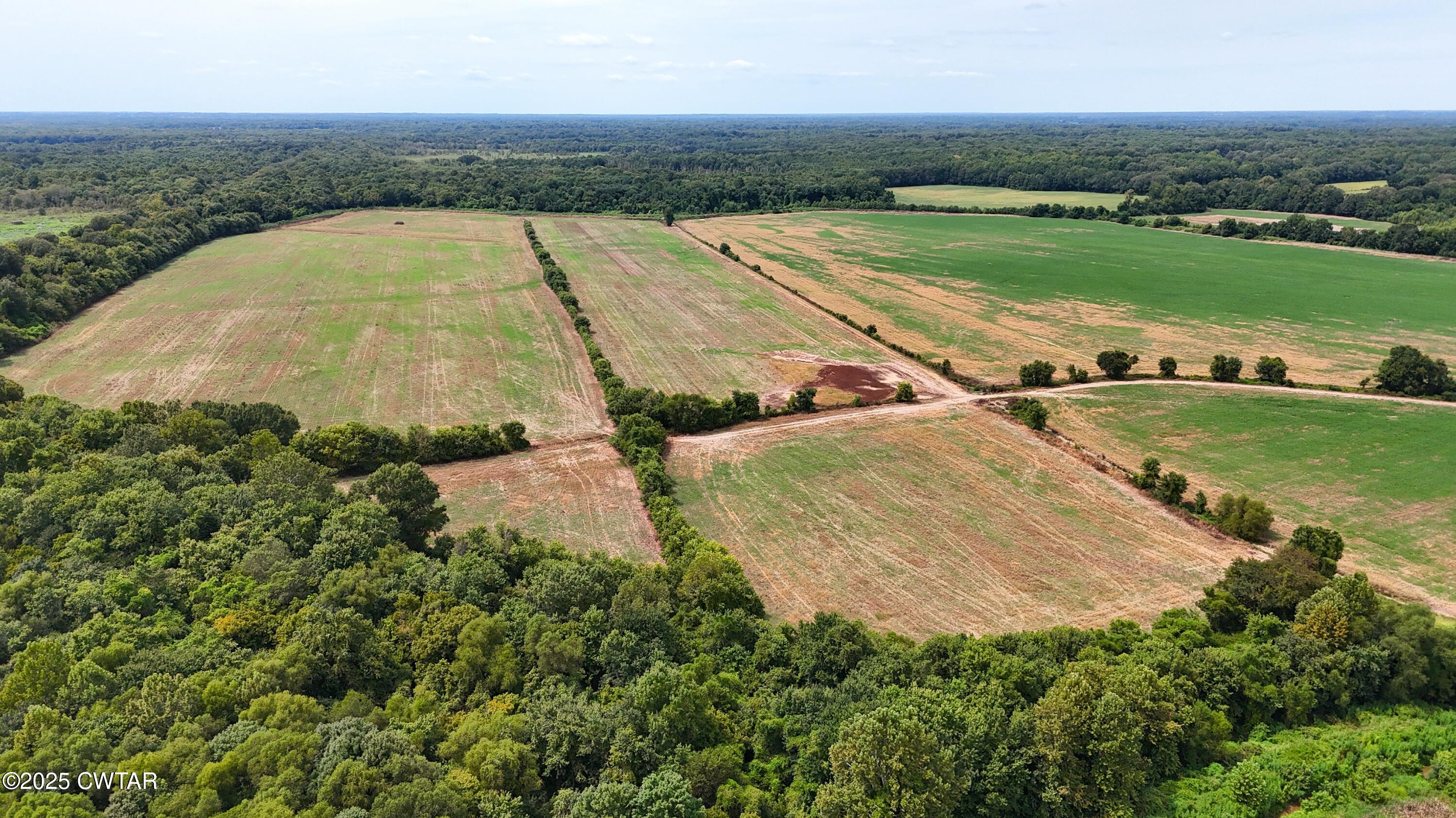 0 Daisy Donaldson Road Humboldt, TN 38343 - Photo 17 of 28 DJI_20250825135921_0126_D