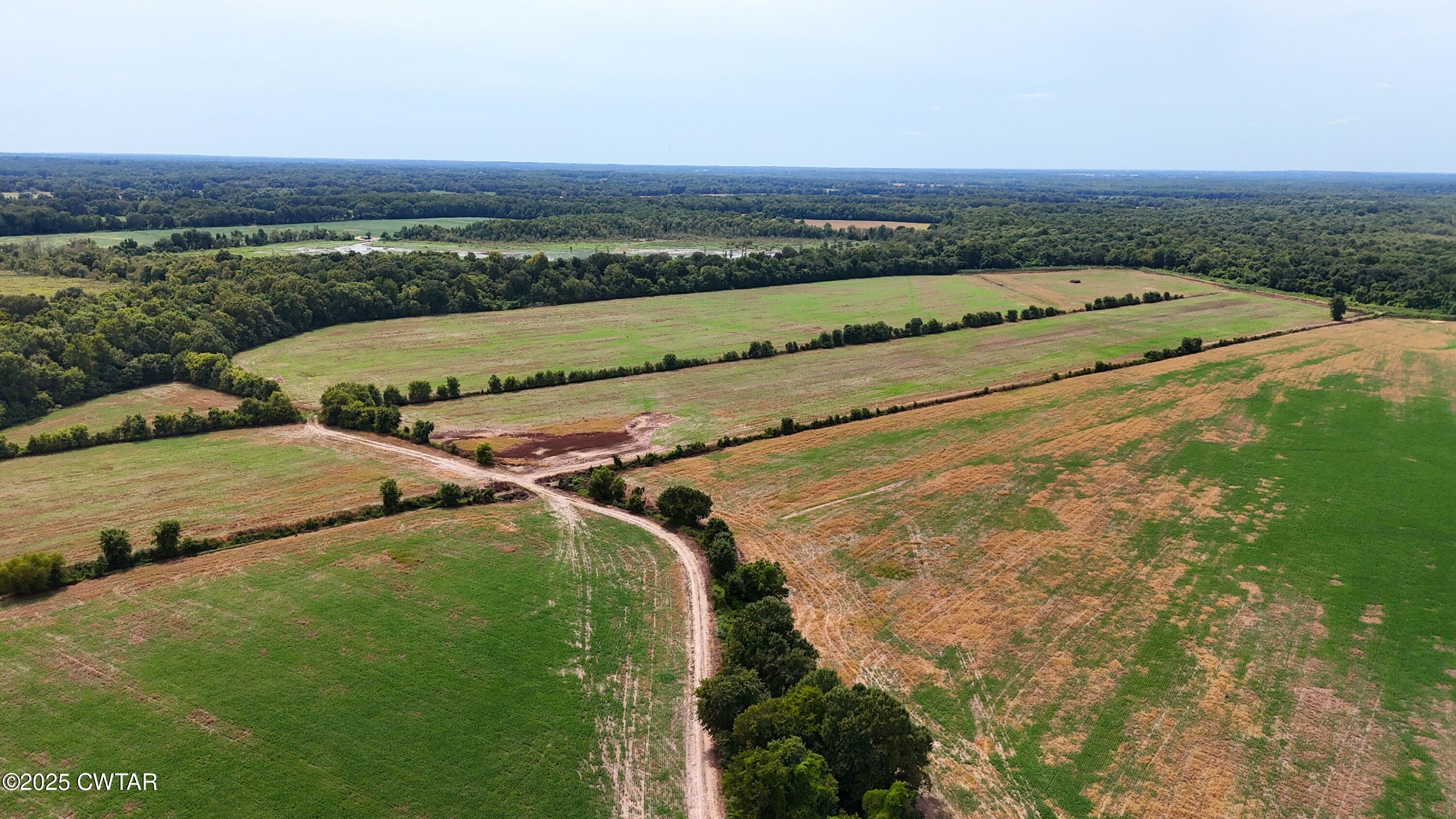 0 Daisy Donaldson Road Humboldt, TN 38343 - Photo 19 of 28 DJI_20250825140031_0128_D