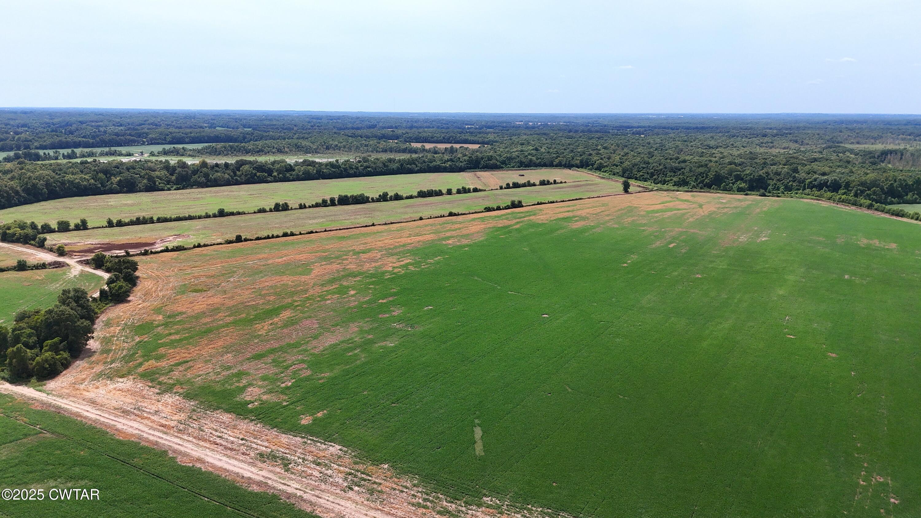 0 Daisy Donaldson Road Humboldt, TN 38343 - Photo 22 of 28 DJI_20250825140110_0131_D