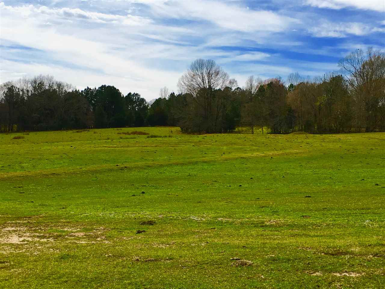 2335 Sharon Road Canton, MS 39046 - Photo 1 of 12 Photo 1
