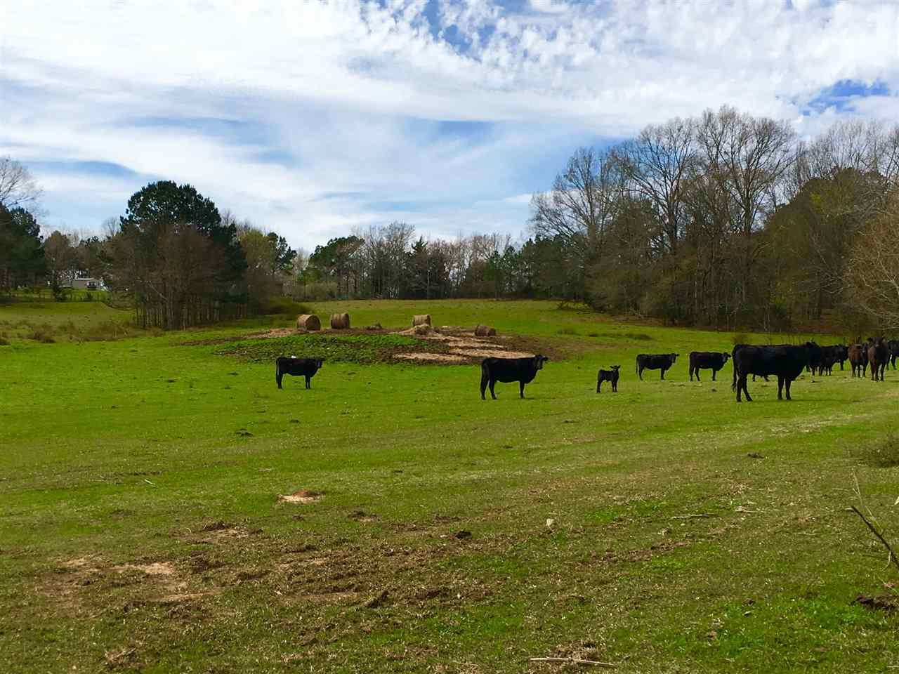 2335 Sharon Road Canton, MS 39046 - Photo 2 of 12 Photo 2
