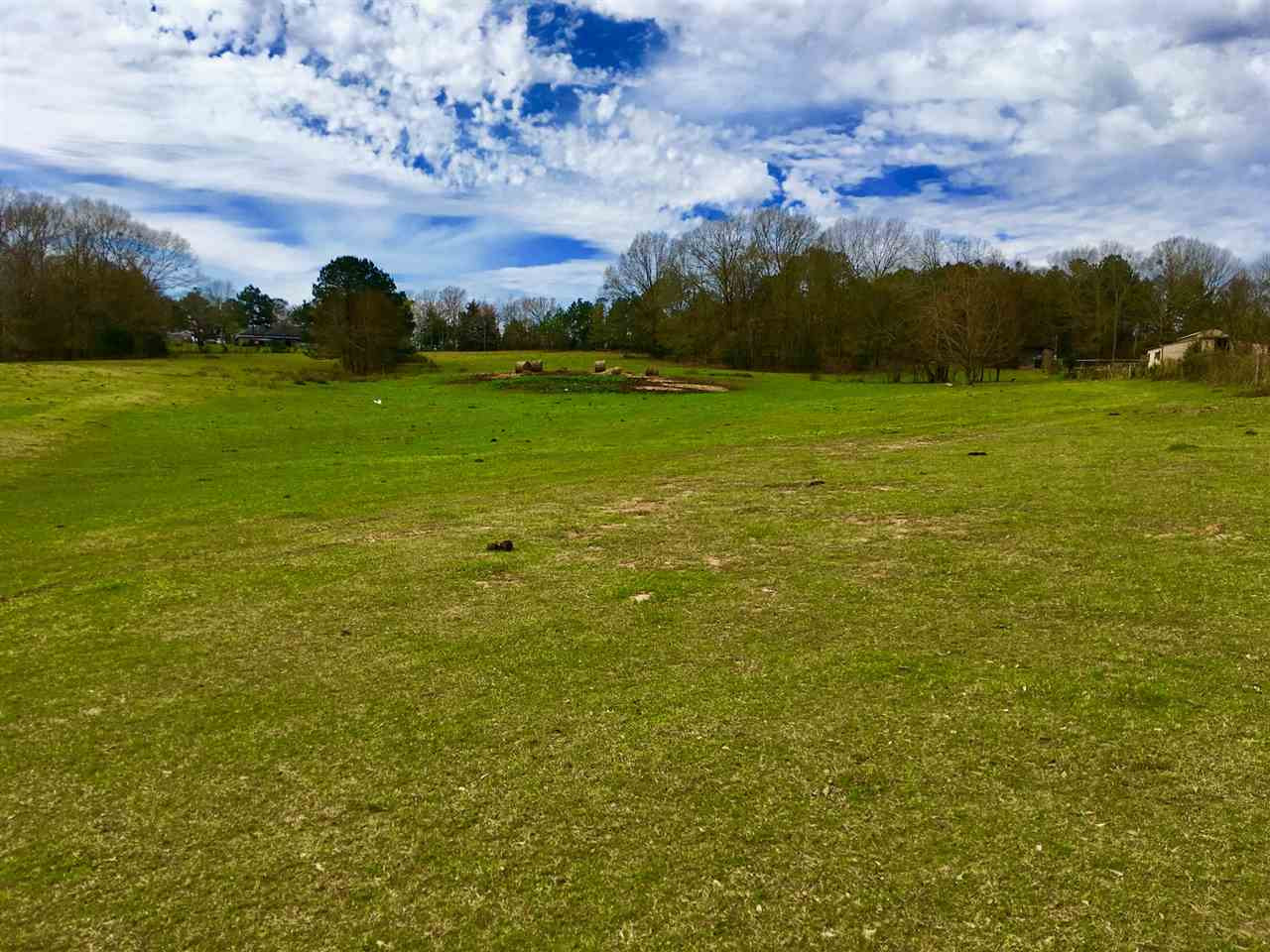 2335 Sharon Road Canton, MS 39046 - Photo 3 of 12 Photo 3