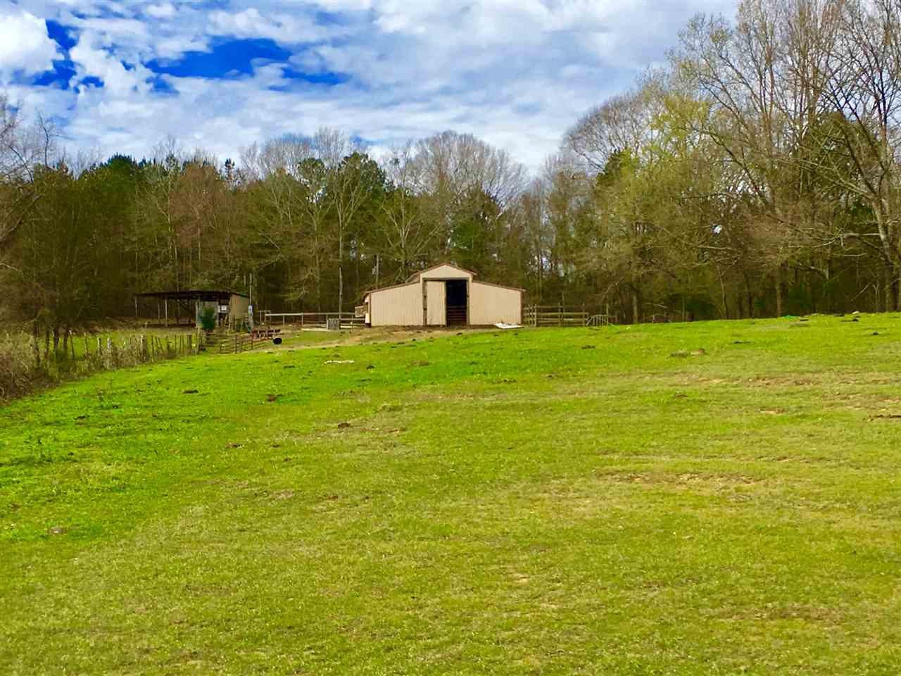 2335 Sharon Road Canton, MS 39046 - Photo 4 of 12 Photo 4