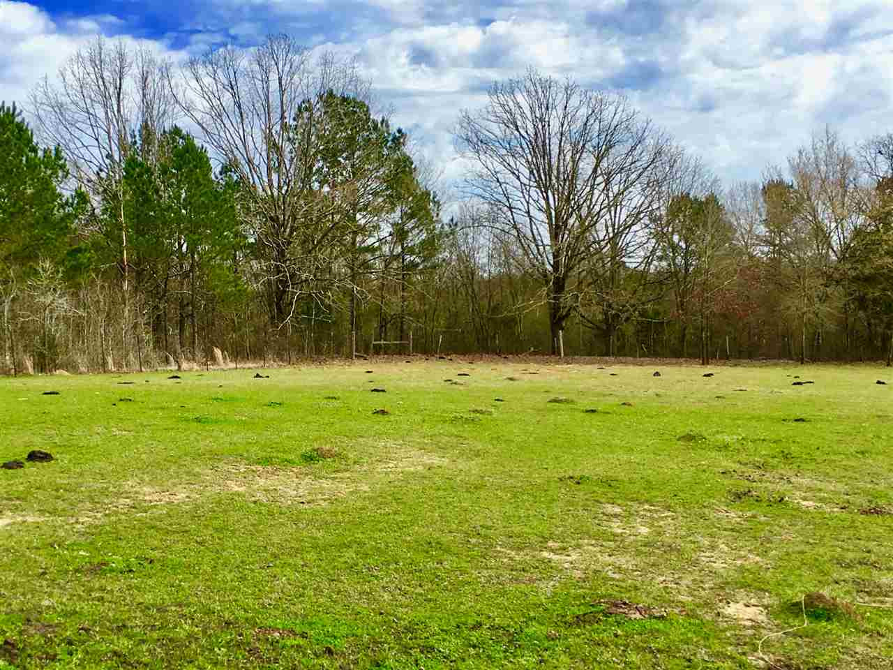 2335 Sharon Road Canton, MS 39046 - Photo 6 of 12 Photo 6