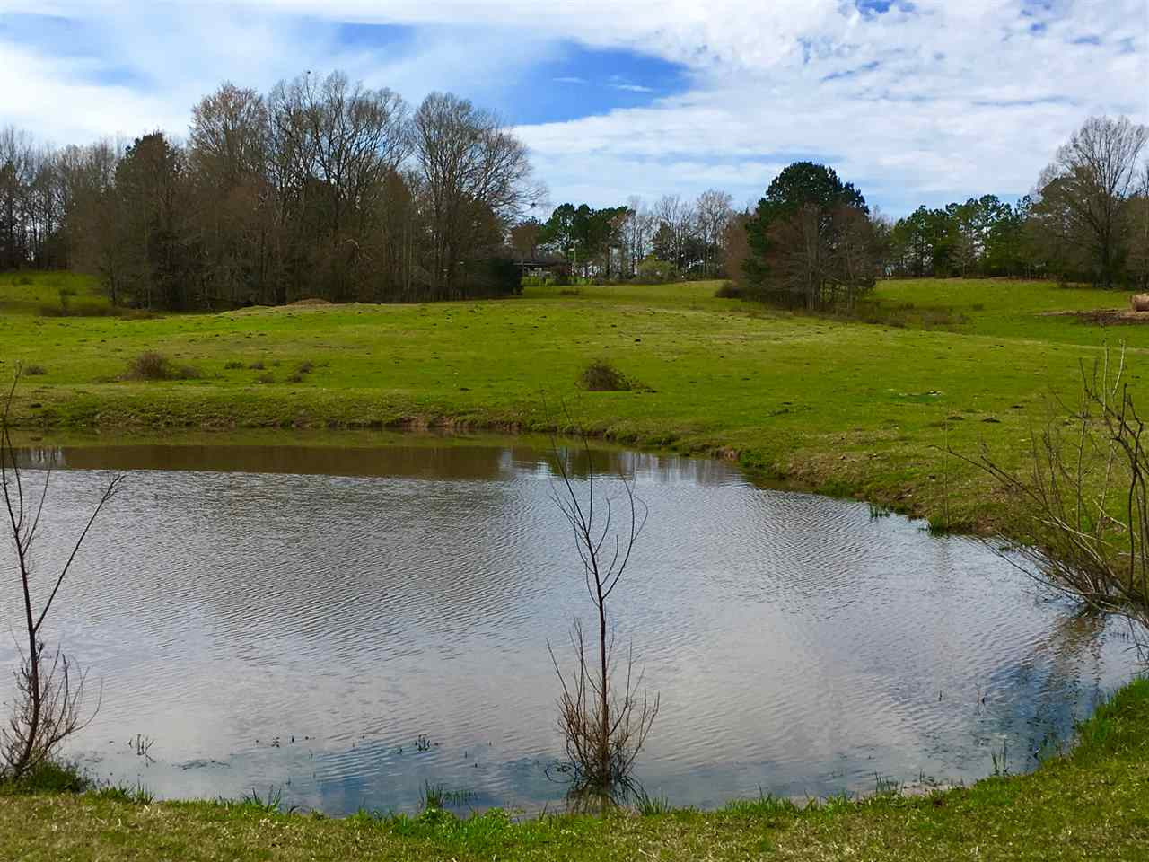 2335 Sharon Road Canton, MS 39046 - Photo 8 of 12 Photo 8