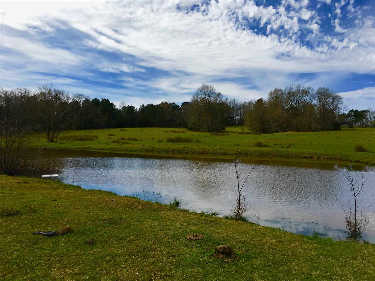 2335 Sharon Road Canton, MS 39046 - Photo 9 of 12 Photo 9
