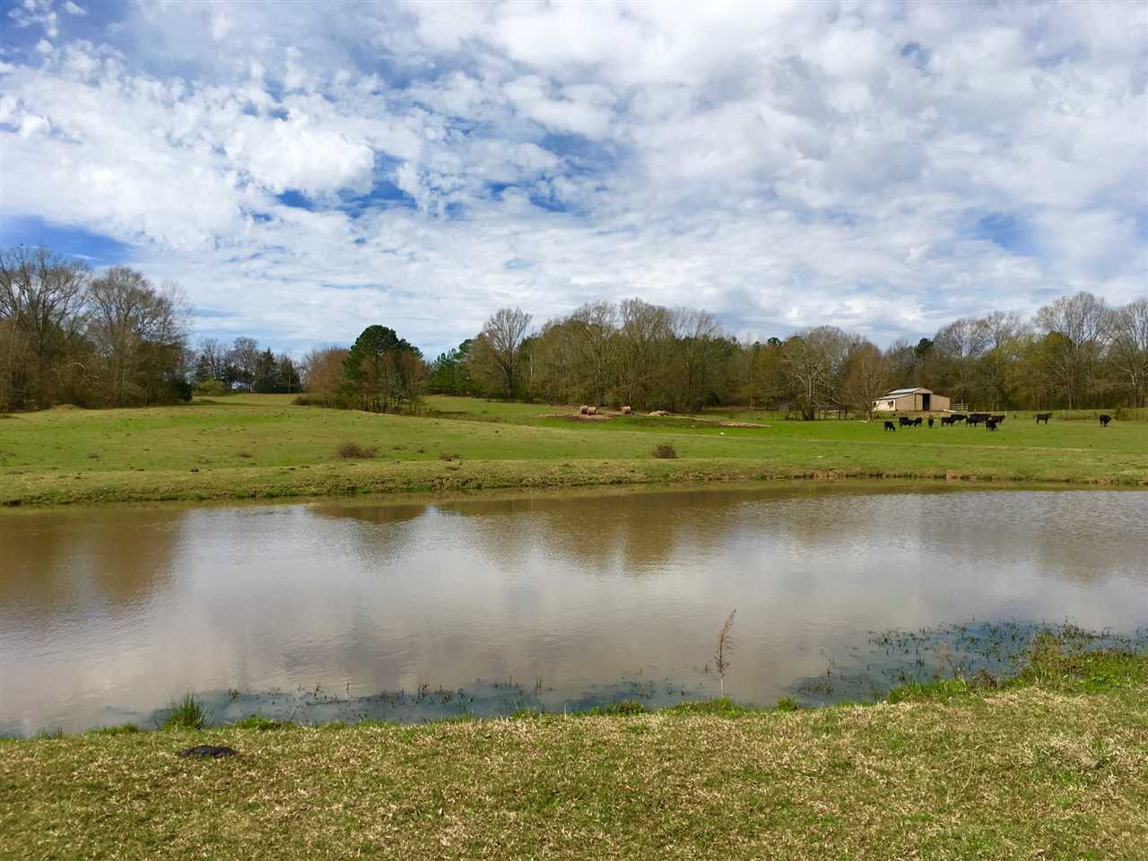2335 Sharon Road Canton, MS 39046 - Photo 10 of 12 Photo 10