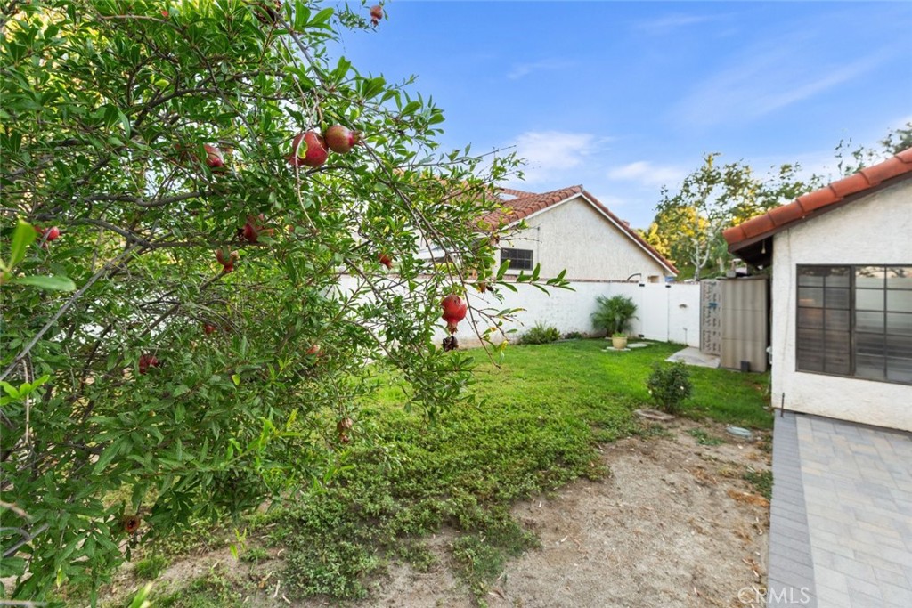 25010 Foxtail Court Stevenson Ranch, CA 91381 - Photo 57 of 64