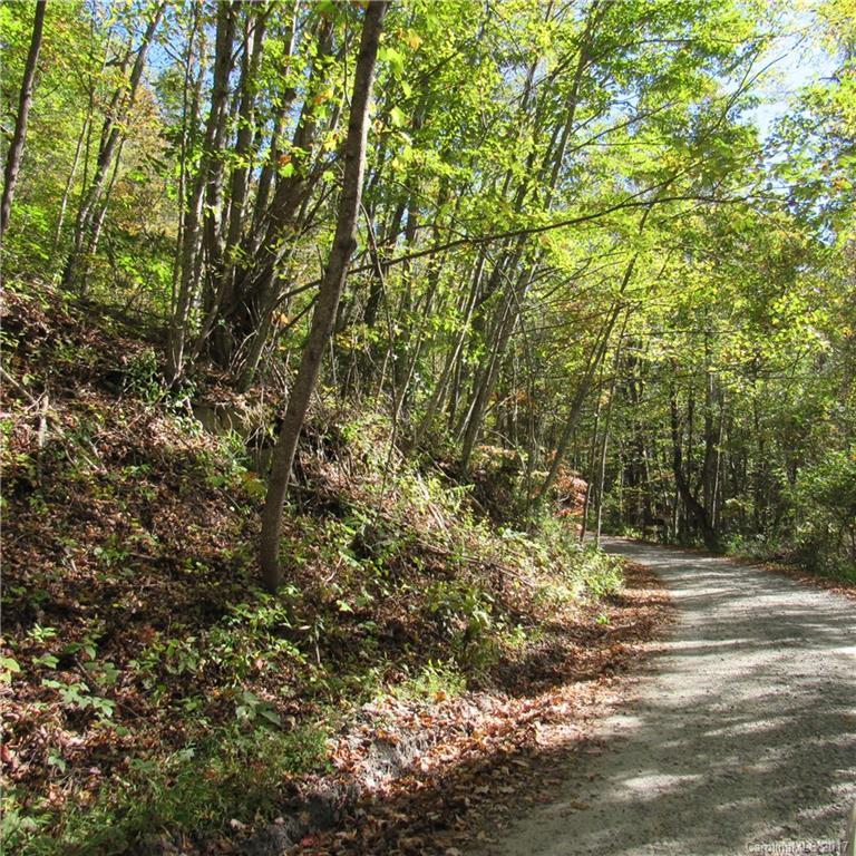 0 Pinners Cove Road, Unit 9 Asheville, NC 28803 - Photo 1 of 7 Gallery Image 1
