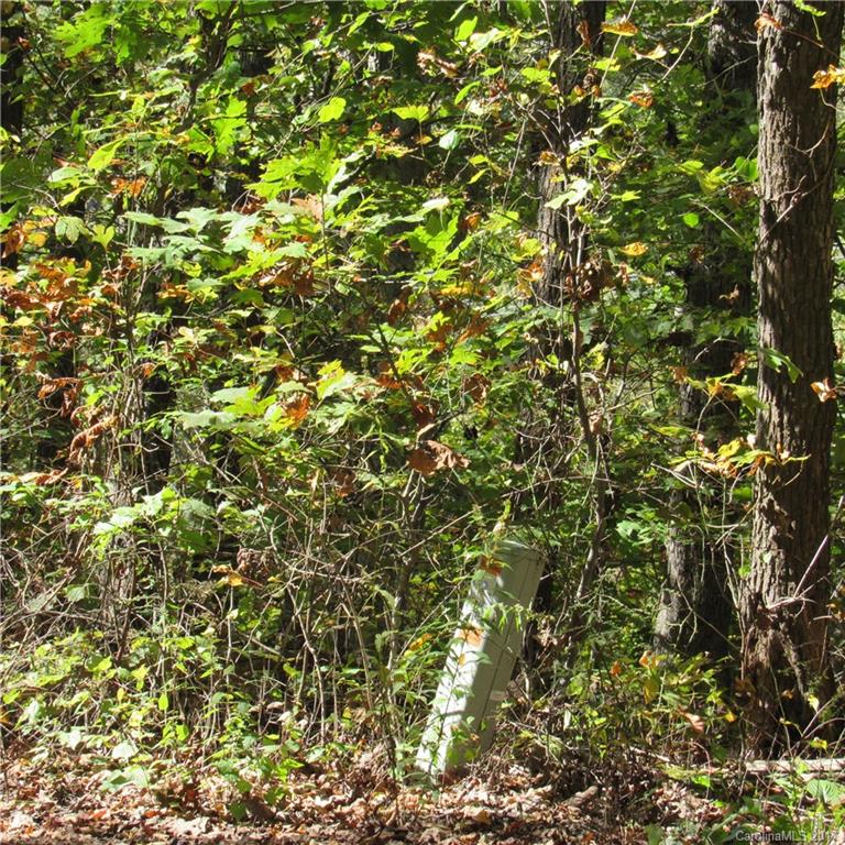 0 Pinners Cove Road, Unit 9 Asheville, NC 28803 - Photo 2 of 7 Gallery Image 2