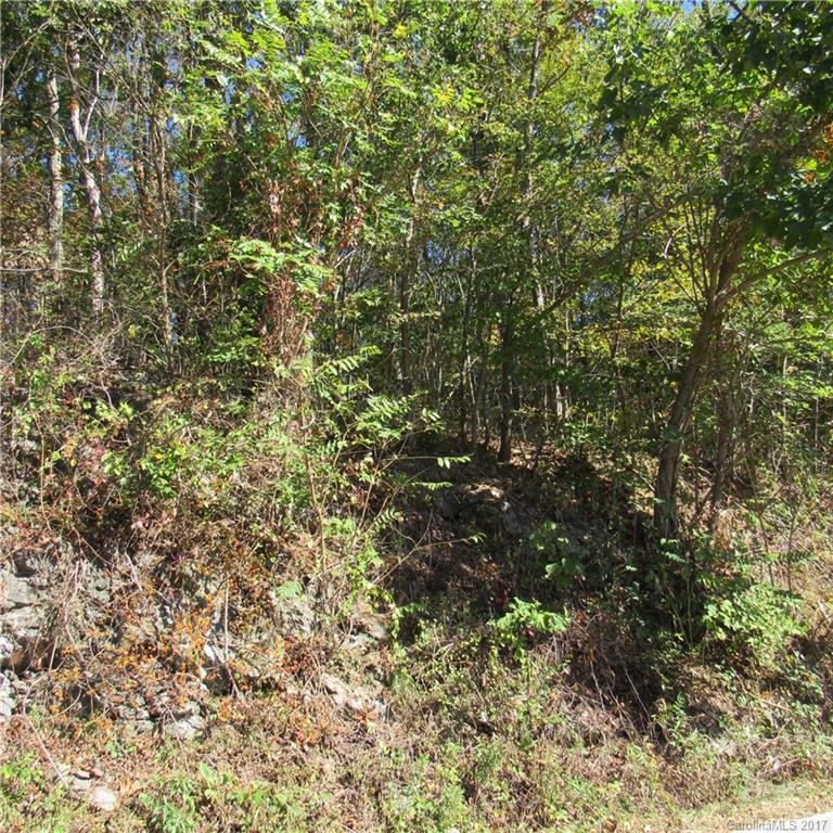 0 Pinners Cove Road, Unit 9 Asheville, NC 28803 - Photo 3 of 7 Gallery Image 3