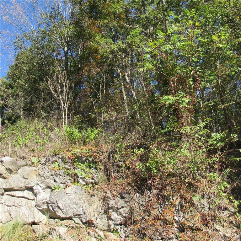 0 Pinners Cove Road, Unit 9 Asheville, NC 28803 - Photo 4 of 7 Gallery Image 4