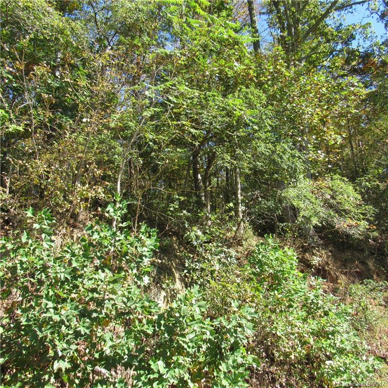 0 Pinners Cove Road, Unit 9 Asheville, NC 28803 - Photo 5 of 7 Gallery Image 5