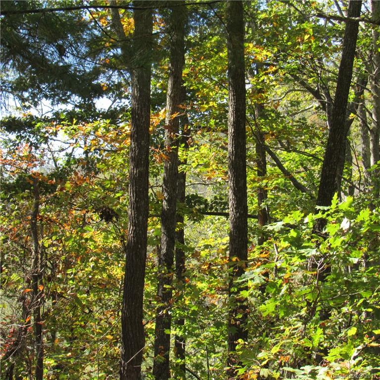 0 Pinners Cove Road, Unit 9 Asheville, NC 28803 - Photo 7 of 7 Gallery Image 7