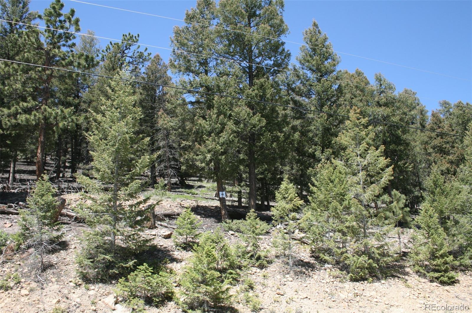 0 Redhill Forest Road Fairplay, CO 80440 - Photo 1 of 12 Gallery Image 1