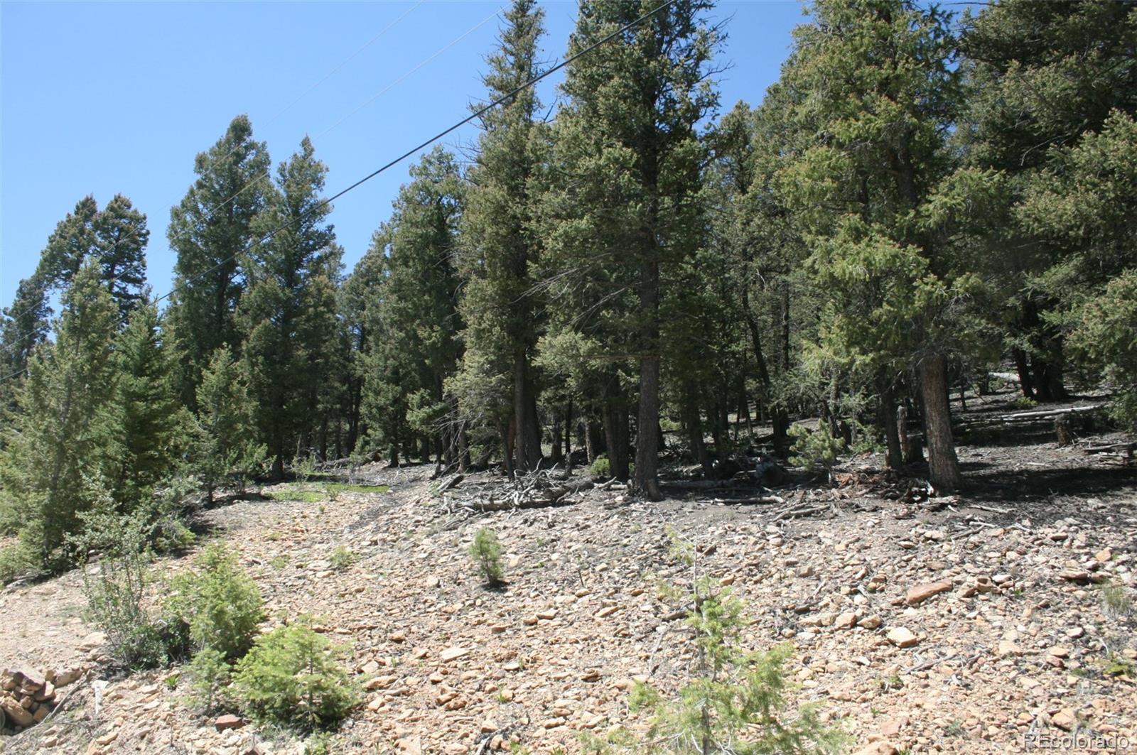 0 Redhill Forest Road Fairplay, CO 80440 - Photo 11 of 12 Gallery Image 11