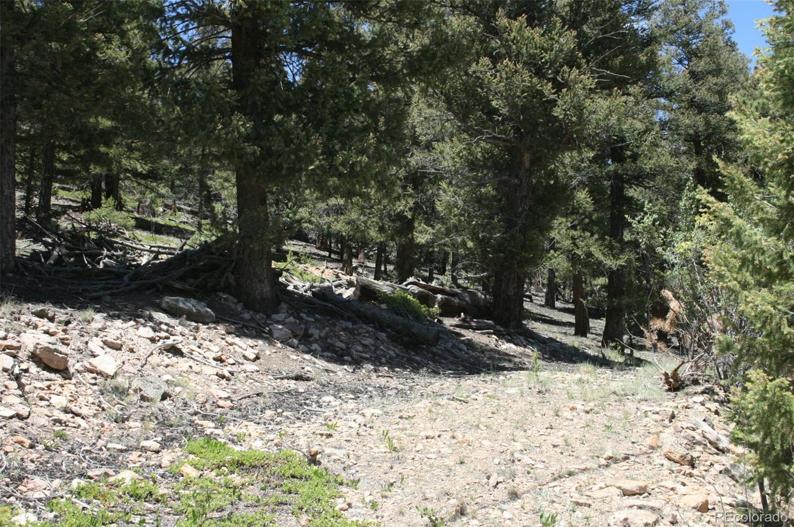 0 Redhill Forest Road Fairplay, CO 80440 - Photo 12 of 12 Gallery Image 12