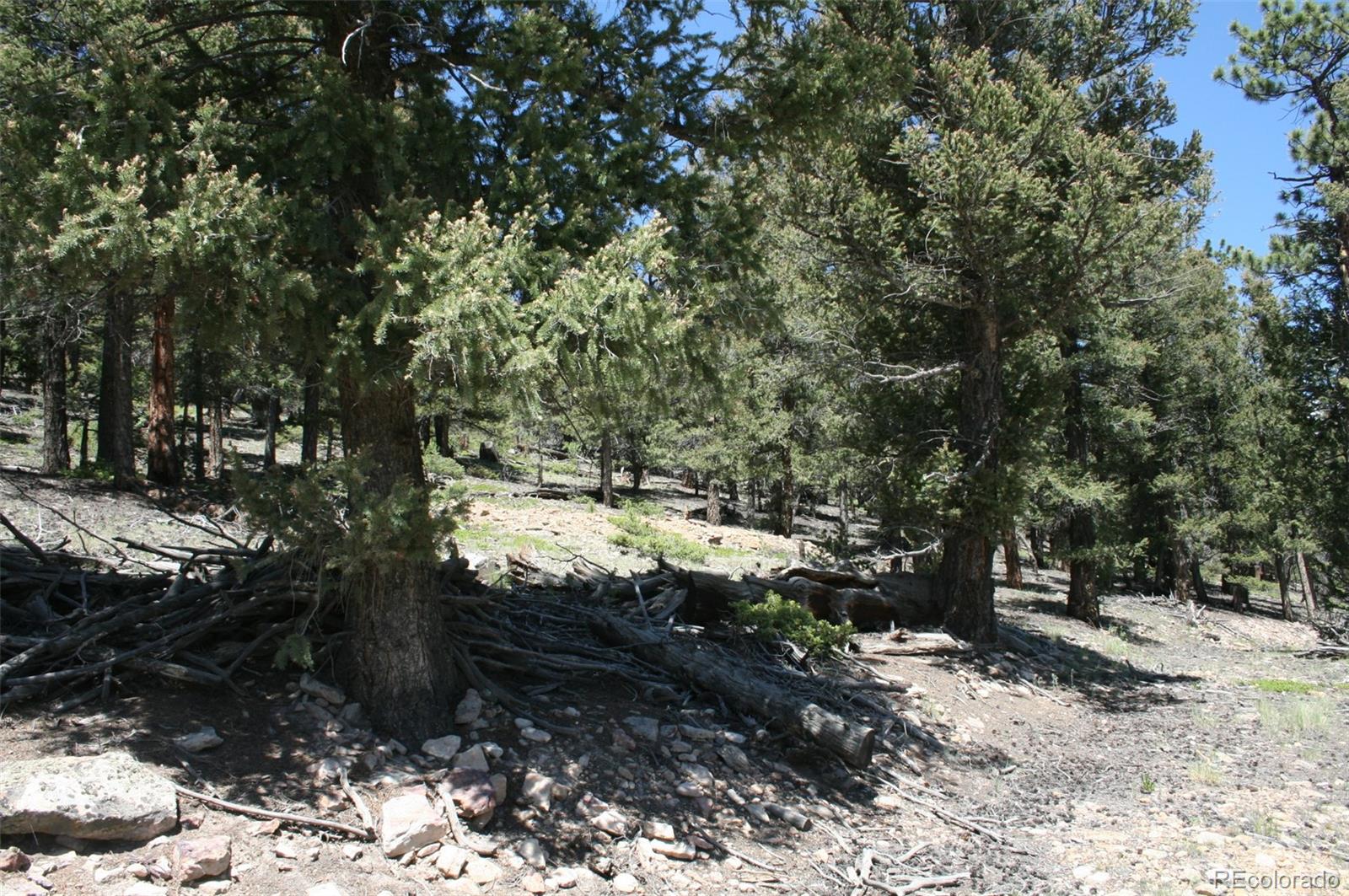 0 Redhill Forest Road Fairplay, CO 80440 - Photo 3 of 12 Gallery Image 3