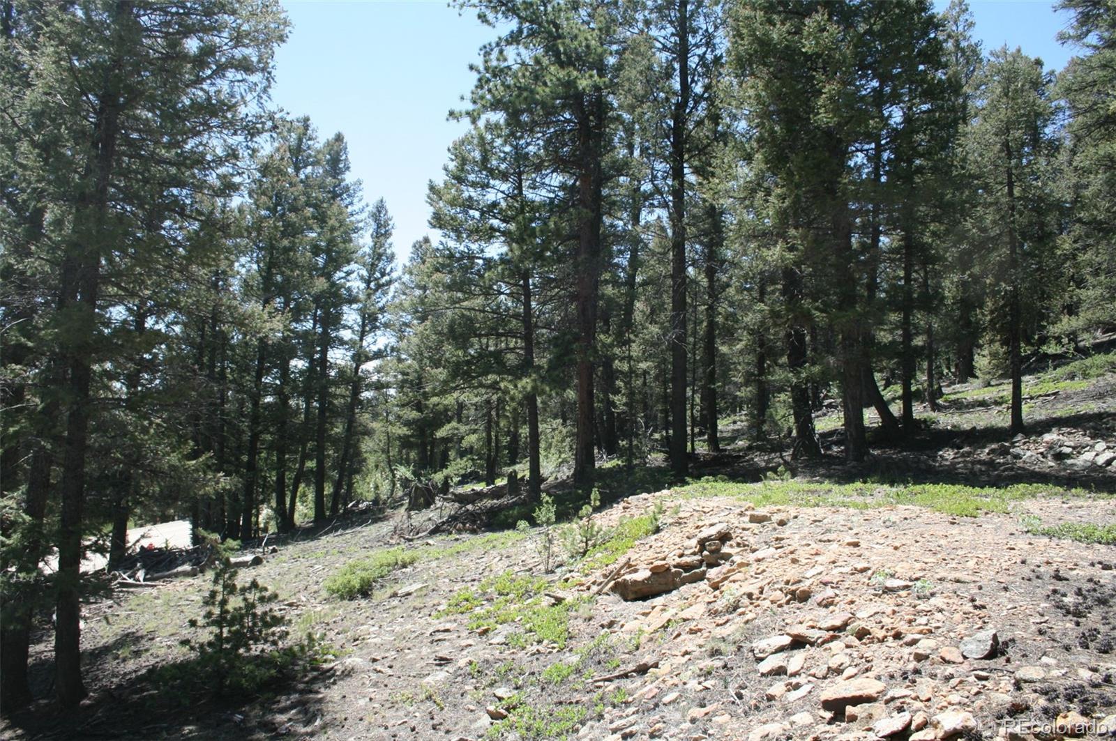 0 Redhill Forest Road Fairplay, CO 80440 - Photo 5 of 12 Gallery Image 5