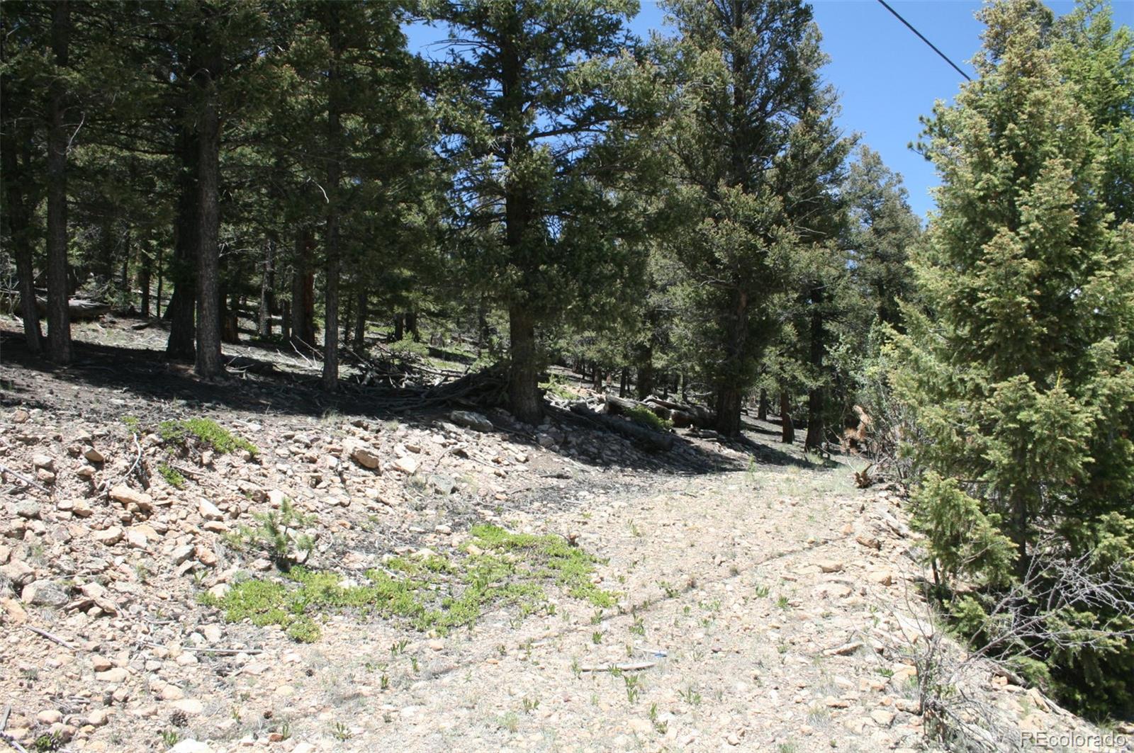 0 Redhill Forest Road Fairplay, CO 80440 - Photo 6 of 12 Gallery Image 6