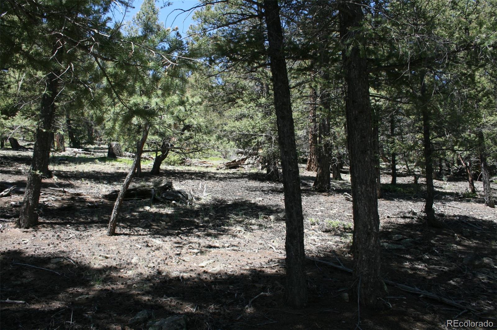 0 Redhill Forest Road Fairplay, CO 80440 - Photo 7 of 12 Gallery Image 7