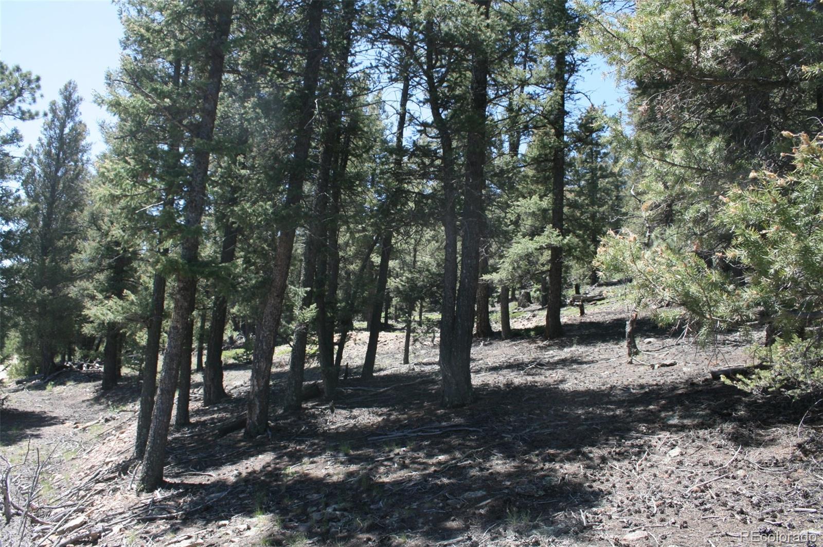 0 Redhill Forest Road Fairplay, CO 80440 - Photo 8 of 12 Gallery Image 8