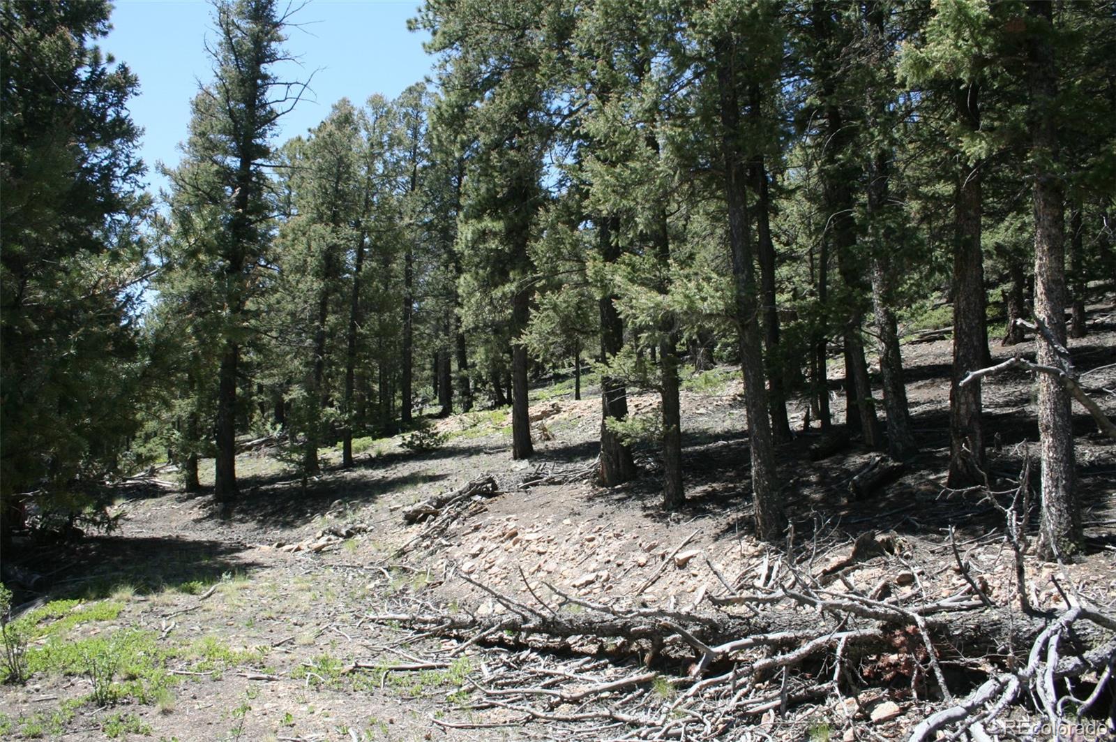 0 Redhill Forest Road Fairplay, CO 80440 - Photo 9 of 12 Gallery Image 9