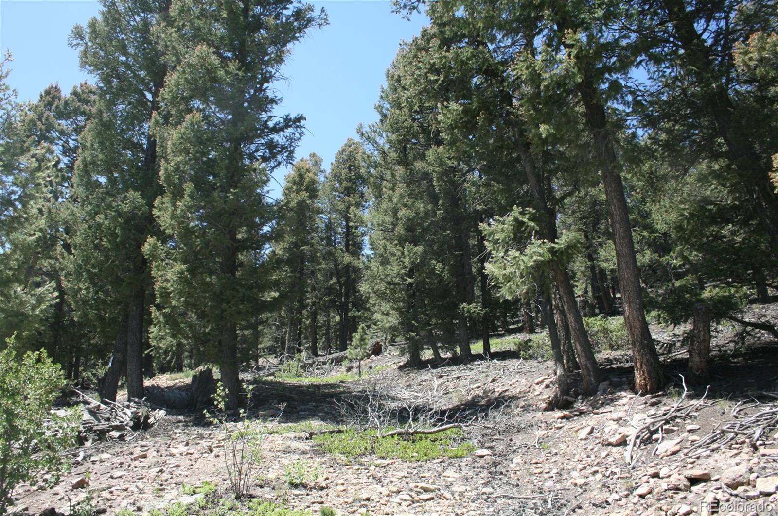 0 Redhill Forest Road Fairplay, CO 80440 - Photo 10 of 12 Gallery Image 10