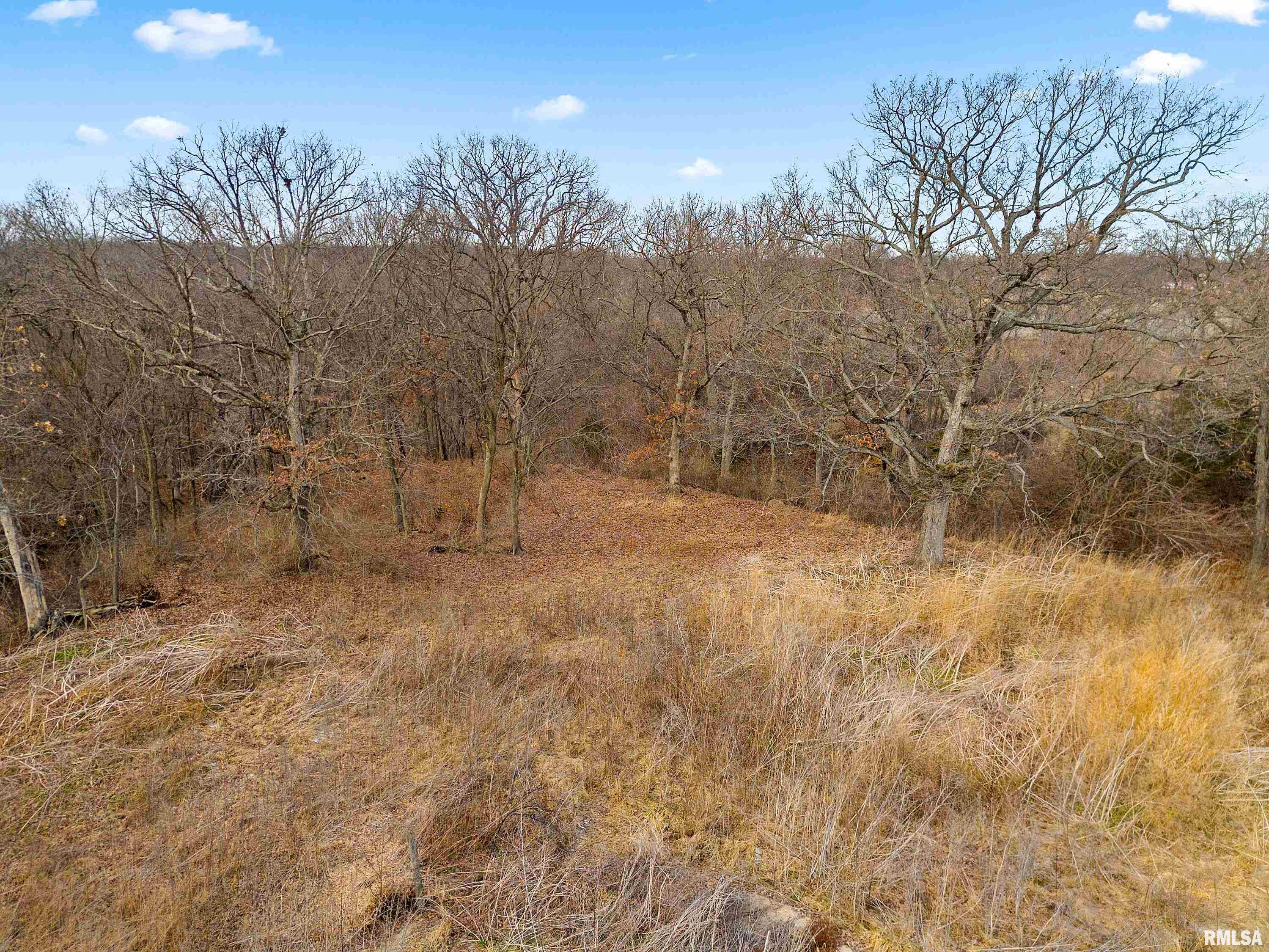 5621 Martin Weber Road Glasford, IL 61533 - Photo 15 of 69