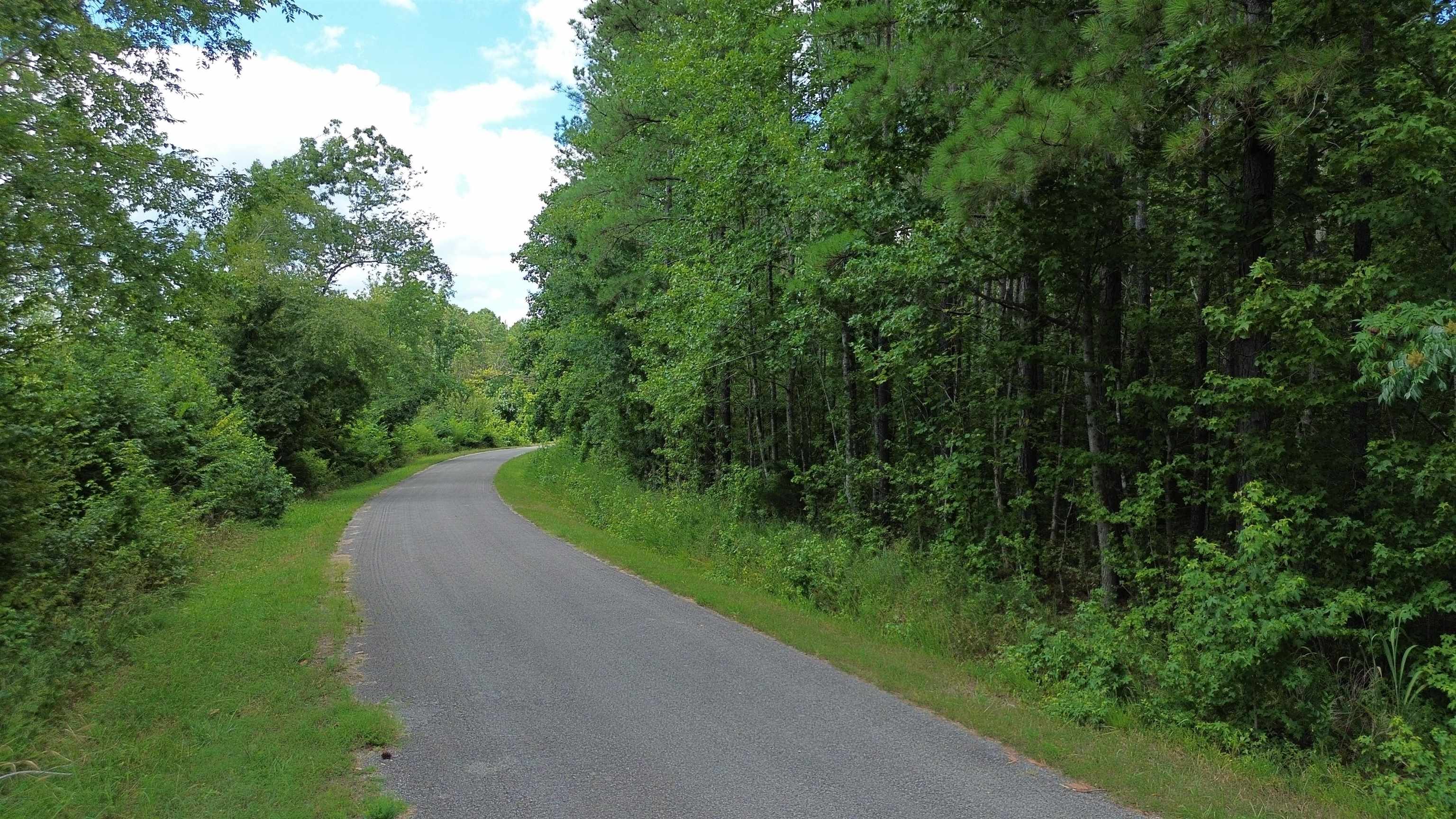 0 Pusser Road Enville, TN 38332 - Photo 10 of 10 a view of street view with outdoor space