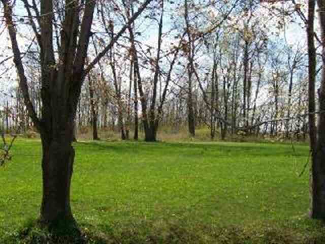 0 Lake Road Ottawa Lake, MI 49267 - Photo 2 of 3 904745-1.JPG