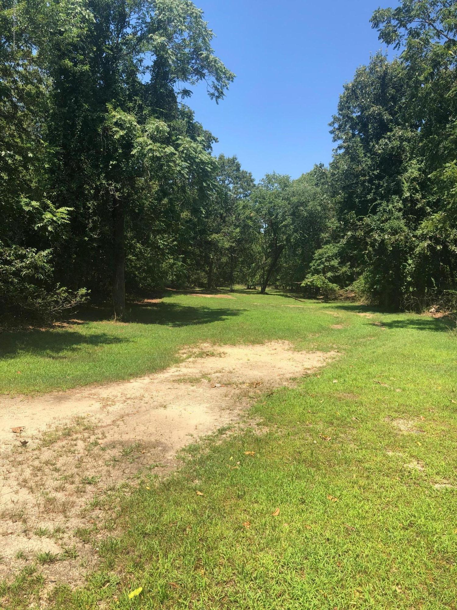 260 Kent Road Howell, NJ 07731 - Photo 1 of 4 a view of a big yard with plants and large trees