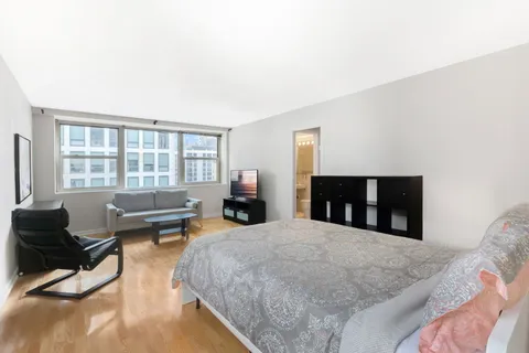 $189,000 | 253 East Delaware Place, Unit 22B, Chicago, IL 60611