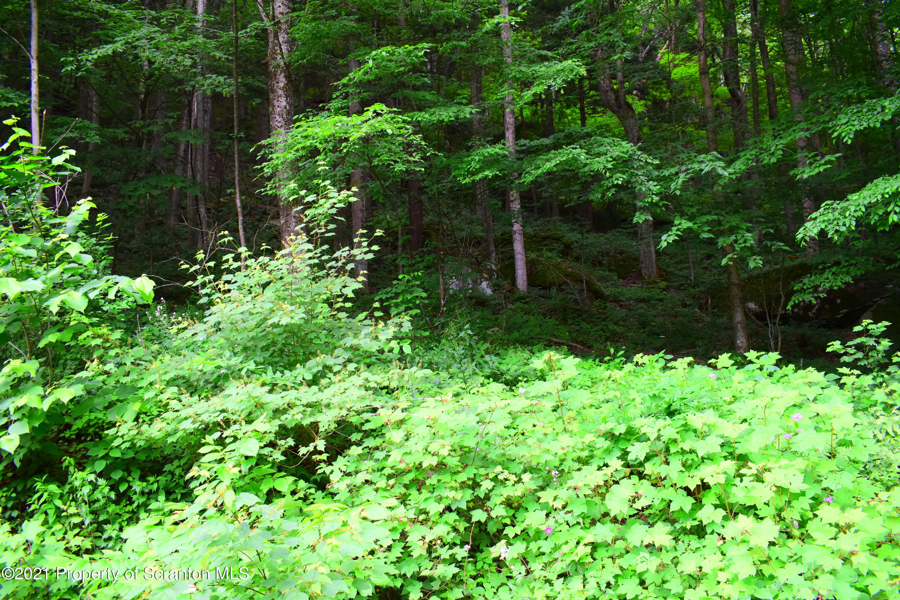 386 Maloney Hl Road Nicholson, PA 18446 - Photo 30 of 82